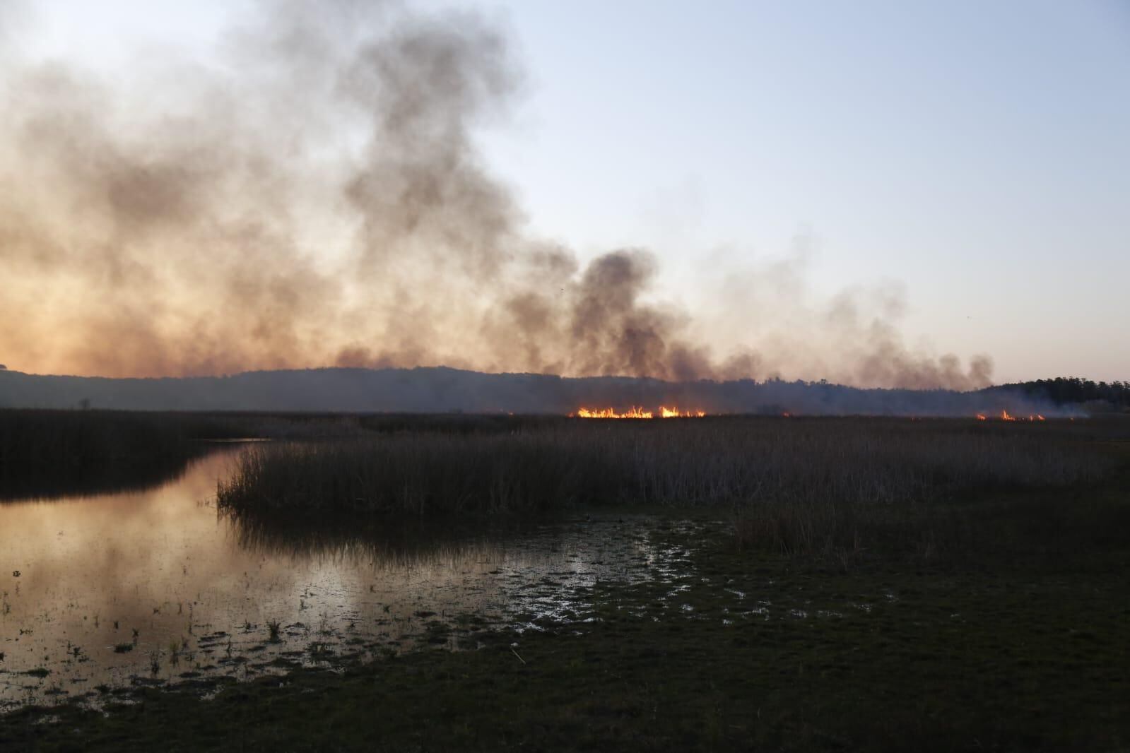 José Ribeiro, jefe del destacamento regional del Este, confirmó a El Observador que el fuego está controlado (Intendencia de Maldonado)
