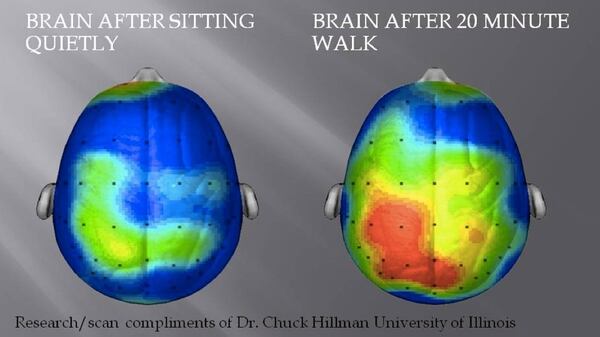 Una investigación de la Universidad de Illinois comparó la actividad neuronal de permanecer sentado y caminar 20 minutos (Universidad Illinois)