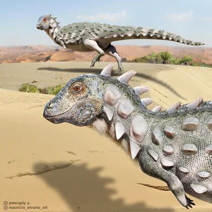 Ilustración de cuerpo completo del nuevo dinosuario acorazado que vivió en la Patagonia Norte (cortesía Mauricio Alvarez)