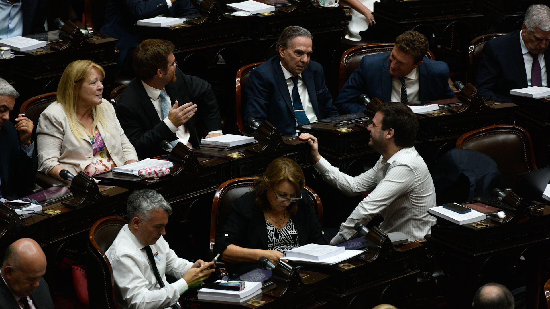 Debate de la Ley Ómnibus en el Congreso interior portada AE