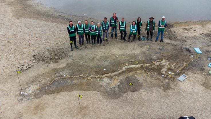 Paleontólogos que trabajan en el esqueleto de otro ictiosaurio encontrado en Rutland Water (ANGLIAN WATER)