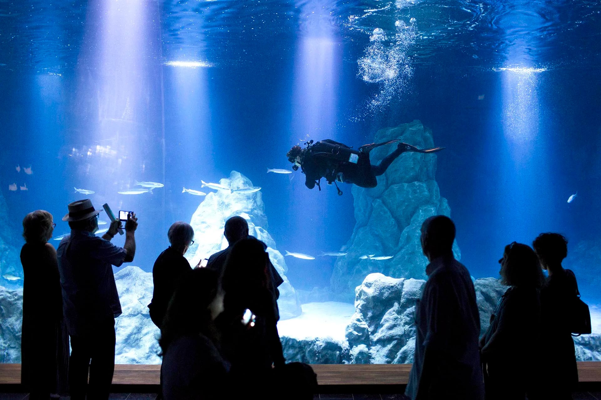 Varias personas visitan el nuevo “Israel Aquarium” en el zoológico bíblico de Jerusalén