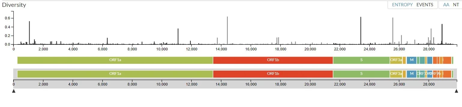Nextstrain incluye un dato de todas las mutaciones identificadas en los 27 mil genomas secuenciados a la fecha. 