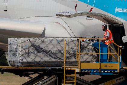 La Sputnik V llegó a la Argentina en los últimos días de diciembre (Foto: EFE) 