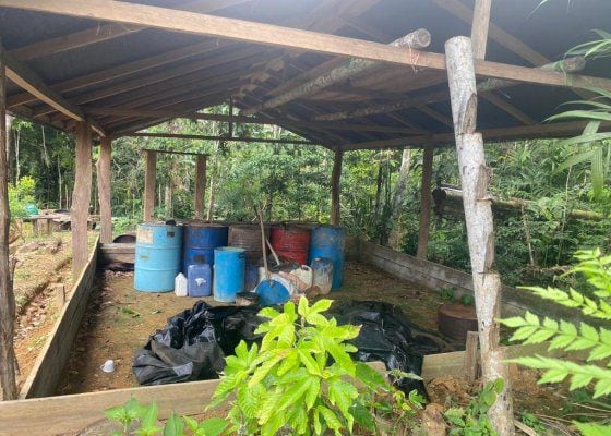 Golpe al clan del Golfo en Chocó: Fuerzas Militares destruyeron siete laboratorios para el procesamiento de coca - crédito Armada