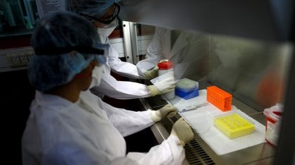 Laboratory technicians work with samples during a coronavirus analysis simulation at the Malbran institute in Buenos Aires, Argentina February 29, 2020. Picture taken February 29, 2020. REUTERS/Agustin Marcarian