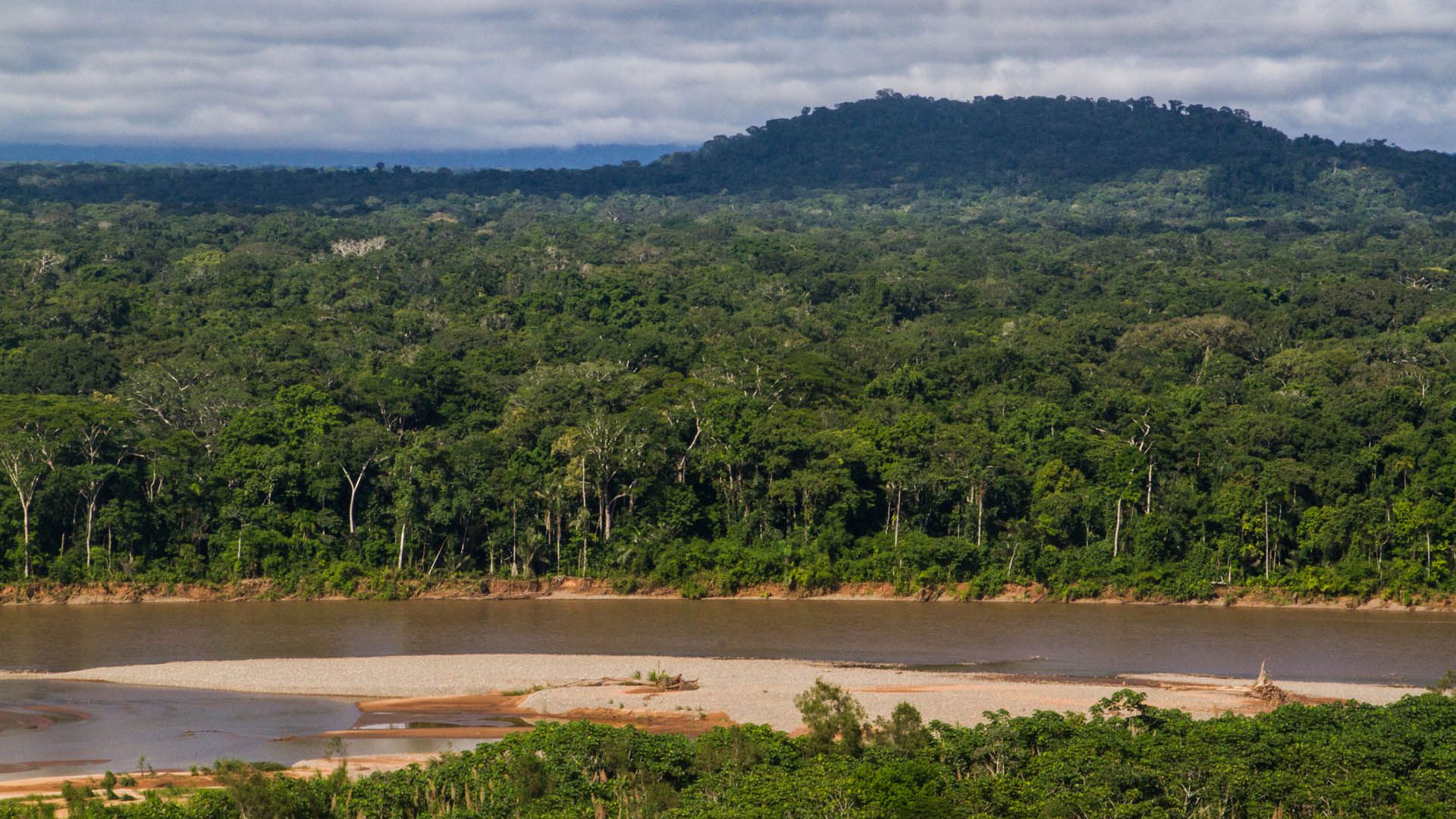 La selva del Amazonas, conocida como el “pulmón del mundo”, es un refugio de biodiversidad y misterio (Getty)