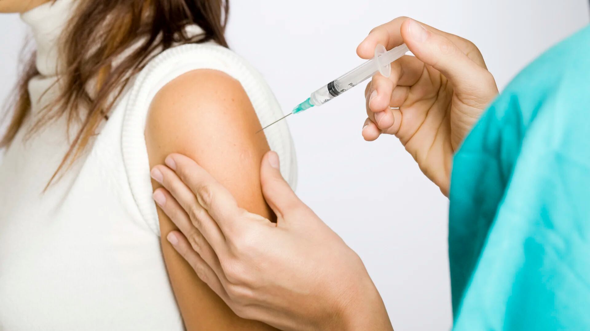 Vacaciones de invierno: el Ministerio de Salud recomendó a los viajeros vacunarse contra la fiebre amarilla