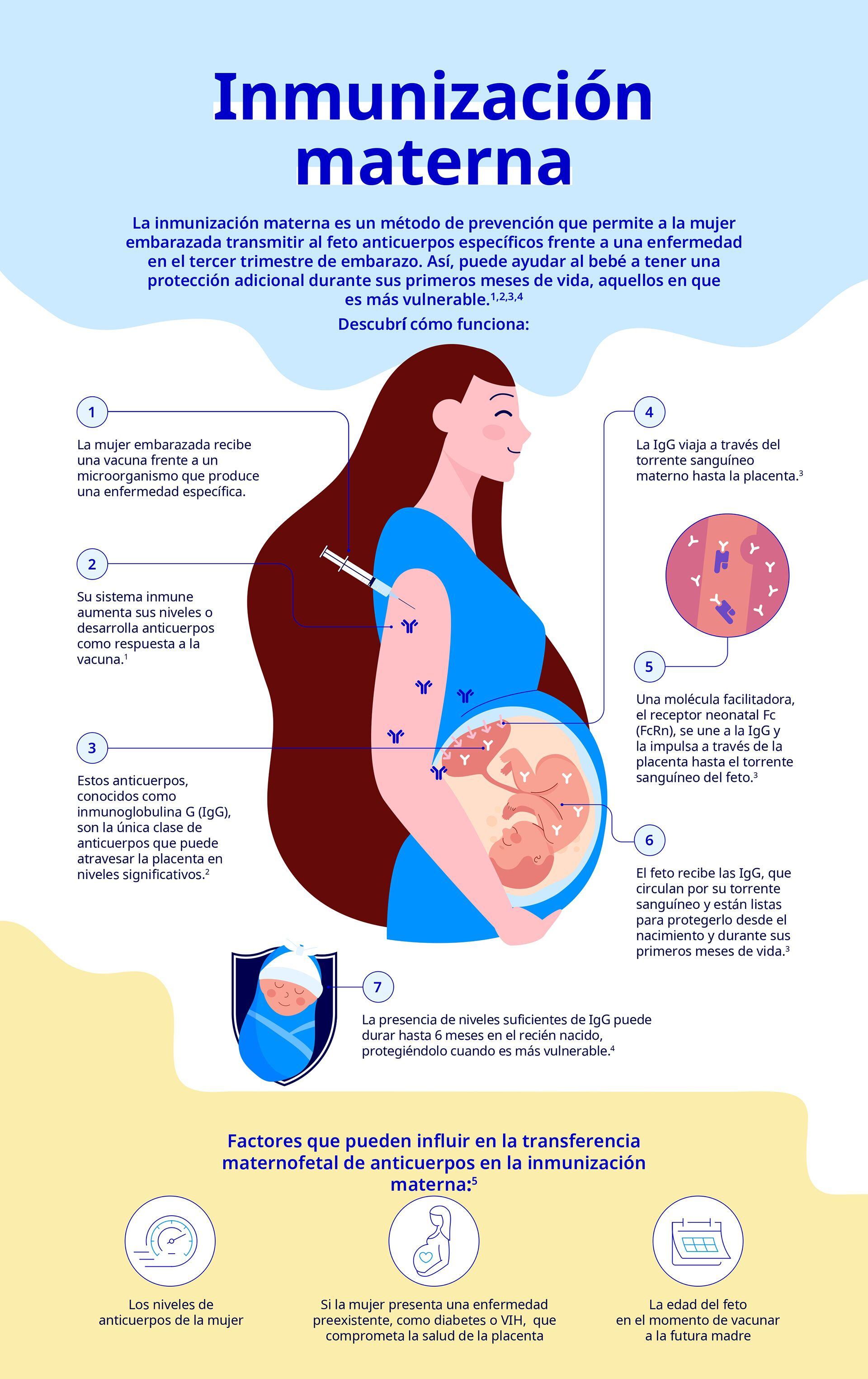 Vacuna para embarazadas de VSR