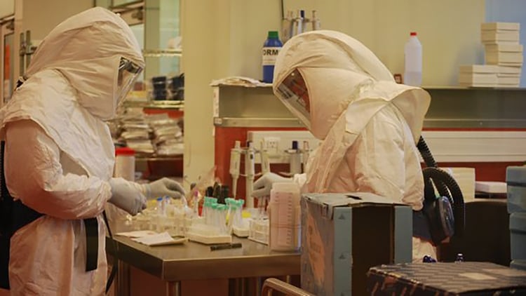 Científicos del Inistuto Malbrán trabajando en una muestra de un caso sospechoso de coronavirus COVID-19