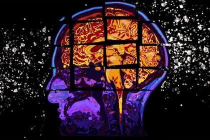 El cerebro hace inferencias probabilísticas sobre el mundo basadas en un modelo interno, calculando una "mejor conjetura"; sobre cómo interpretar lo que está percibiendo