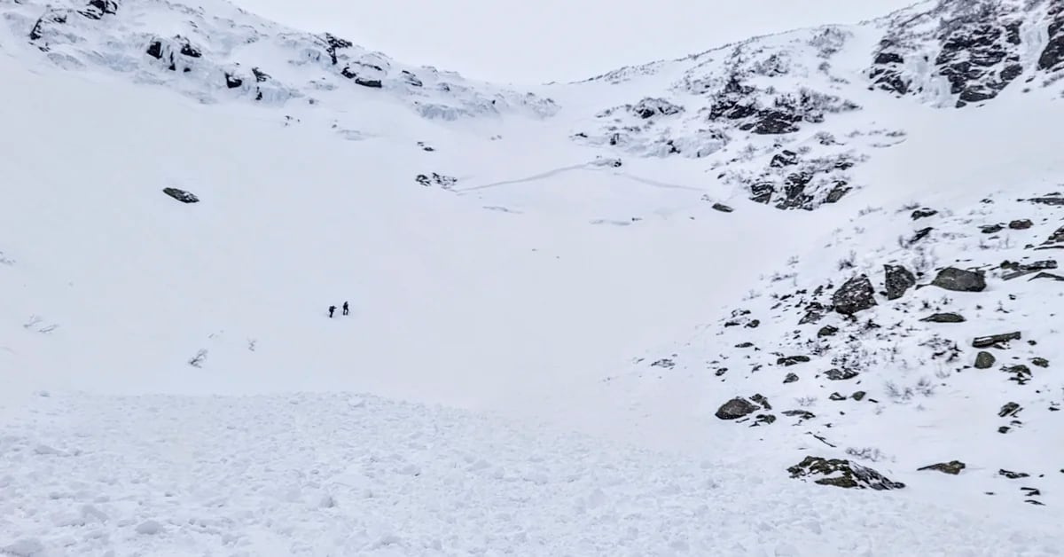 Video: A snowboarder and a skier managed to escape just in time from an avalanche in the United States