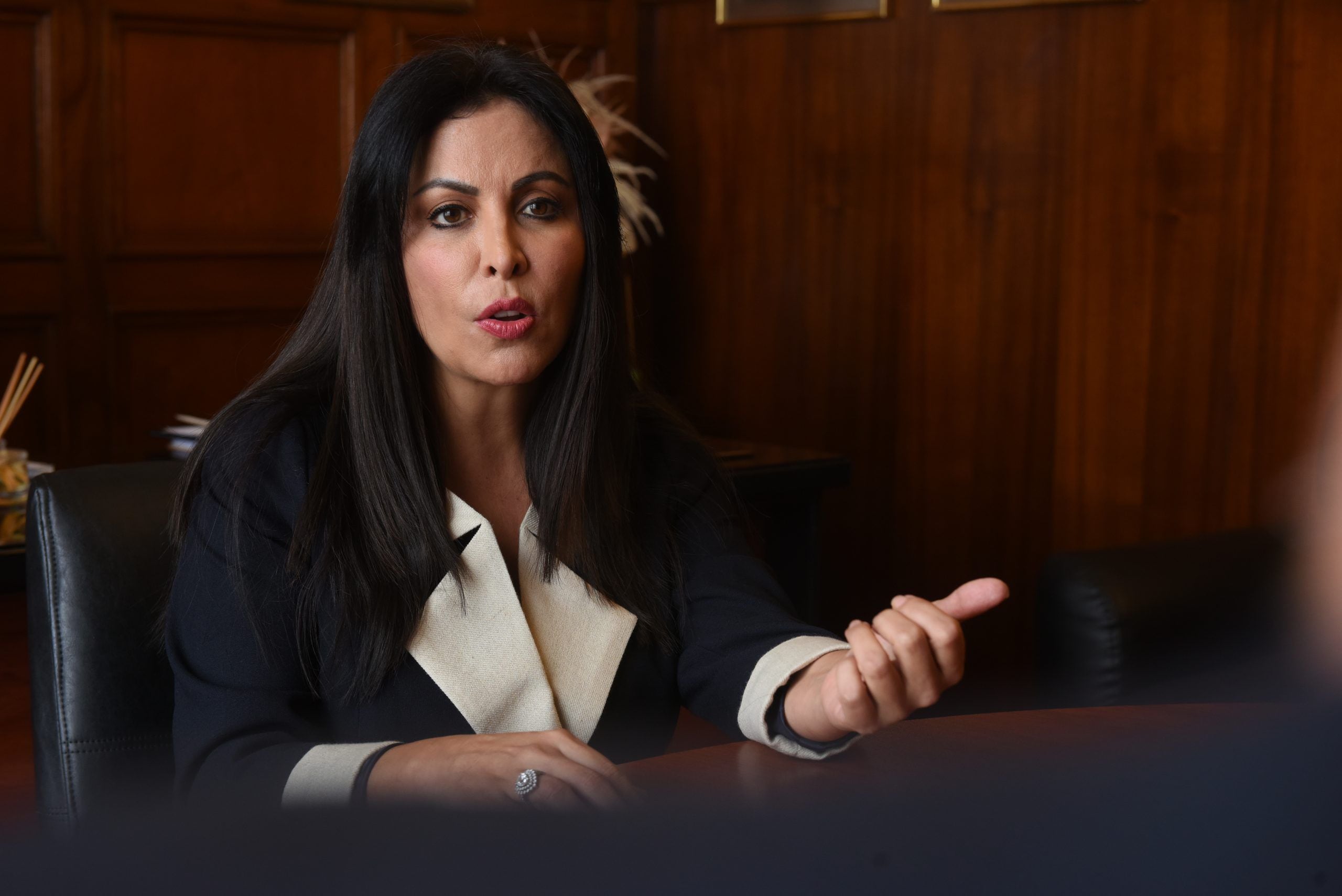 Vacancia presidencial: ¿Quién es Patricia Chirinos, la congresista que presentó pedido para sacar a Pedro Castillo del poder? - Infobae