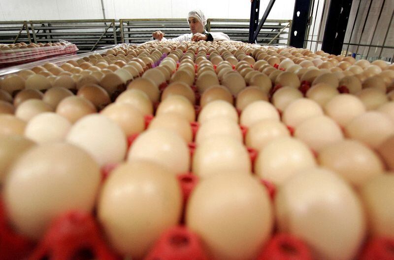 Productores de huevos pidieron que se inicie en el país el proceso de vacunación. (REUTERS/Franck Prevel)