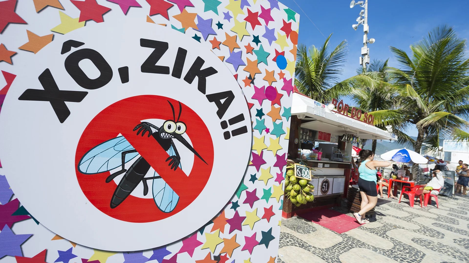 El virus del zika causa temor en turistas y en las delegaciones de los países que participarán en Río 2016 (Shutterstock)