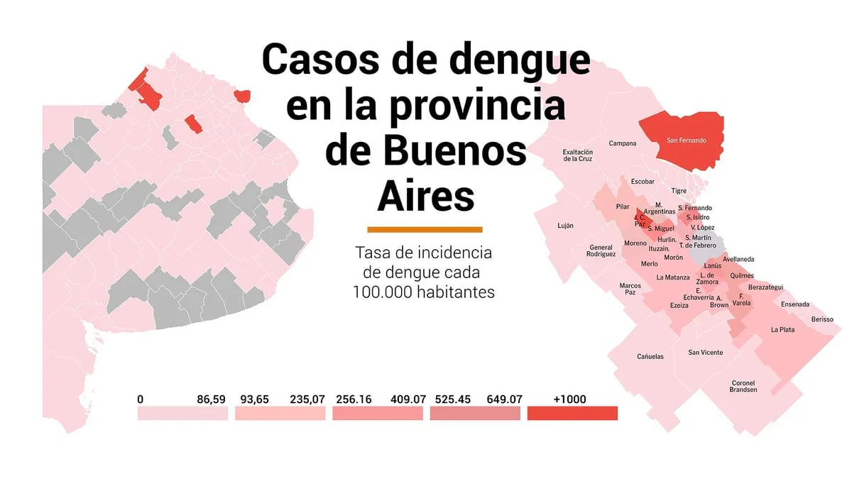 El mapa del dengue en provincia de Buenos Aires: cuál es el municipio más afectado