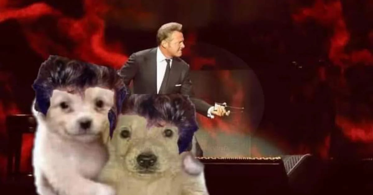 The best memes reacting to Luis Miguel’s Tour 2023