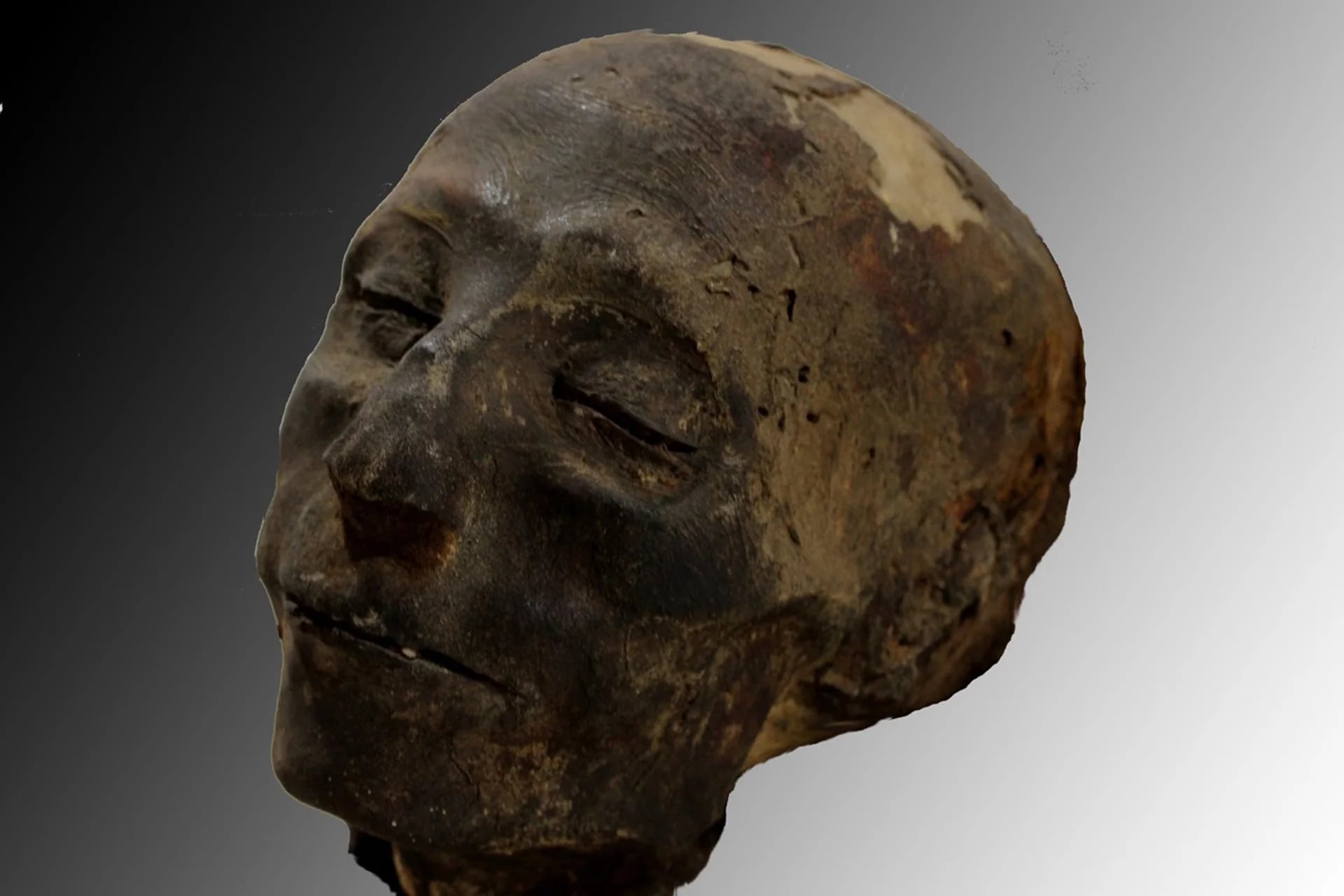 El cráneo de la momia Nebiri