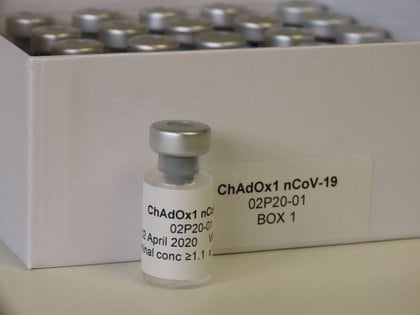 Foto de archivo de la vacuna ChAdOx1 nCoV-19 desarrollada en la Universidad de Oxford. Sean Elias/Handout via REUTERS 