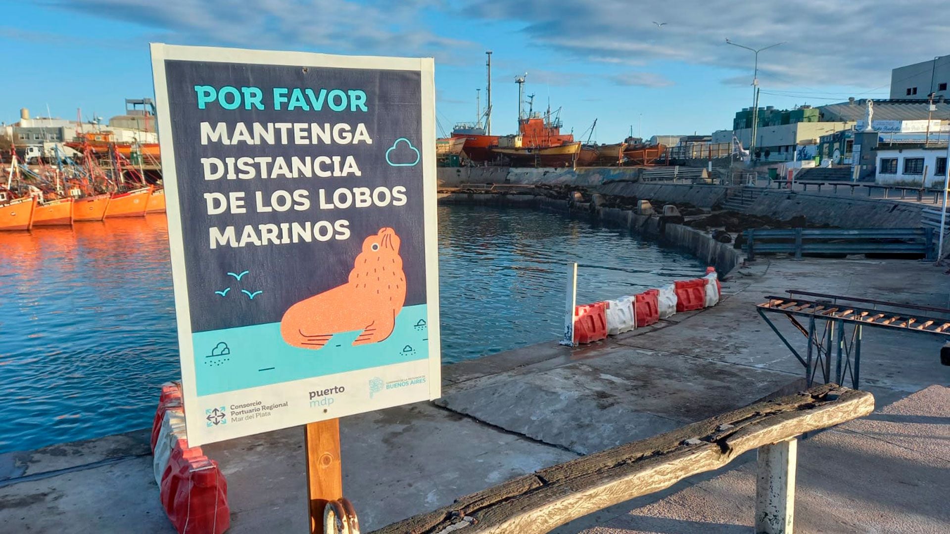 Cerraron la lobería más grande de Mar del Plata por los casos de gripe aviar (@puertomdpok)