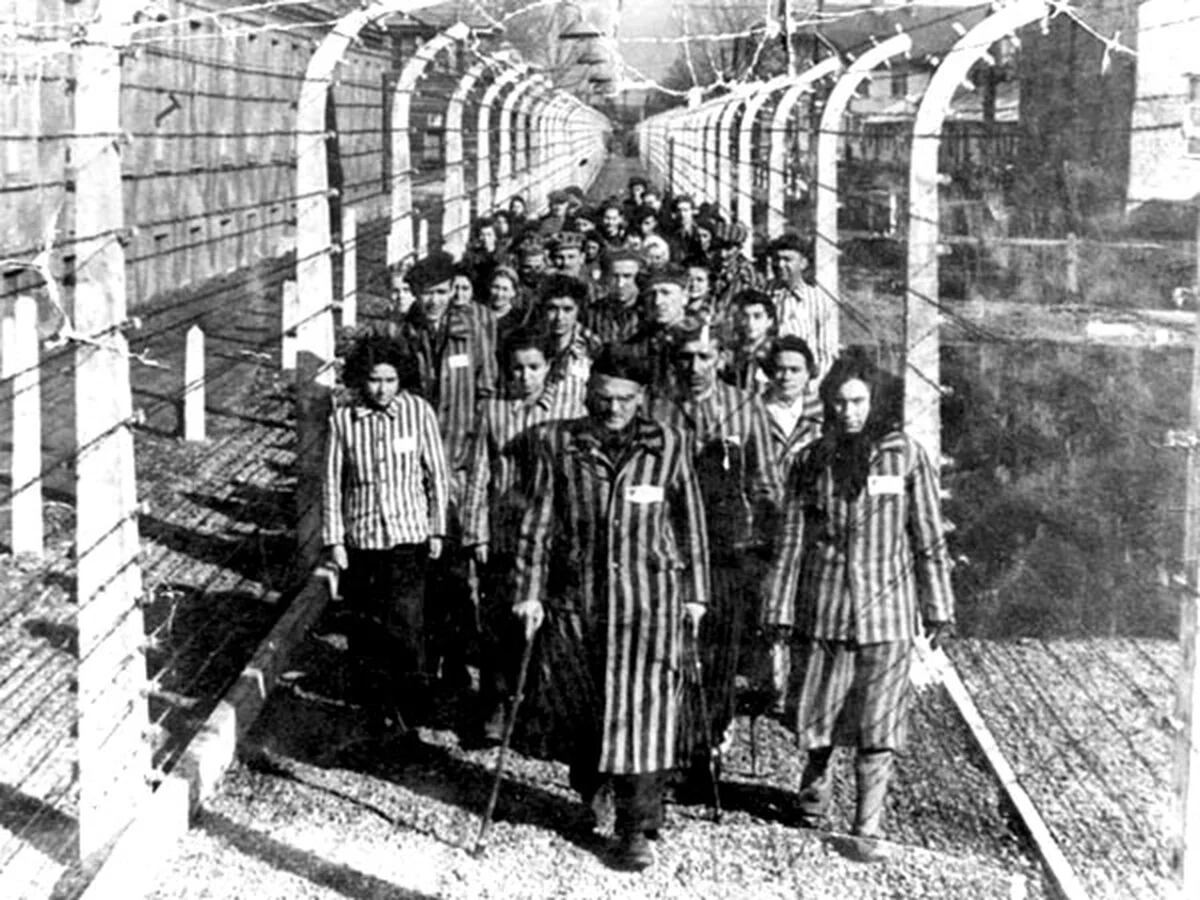 Difunden nuevo número de víctimas del Holocausto - Infobae
