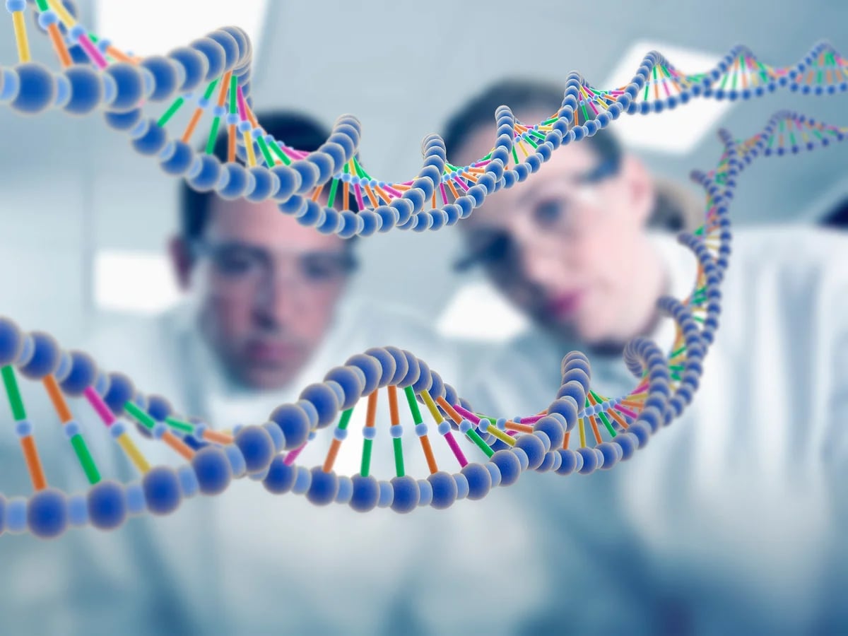 Hito científico: terminaron de decodificar un genoma humano completo -  Infobae