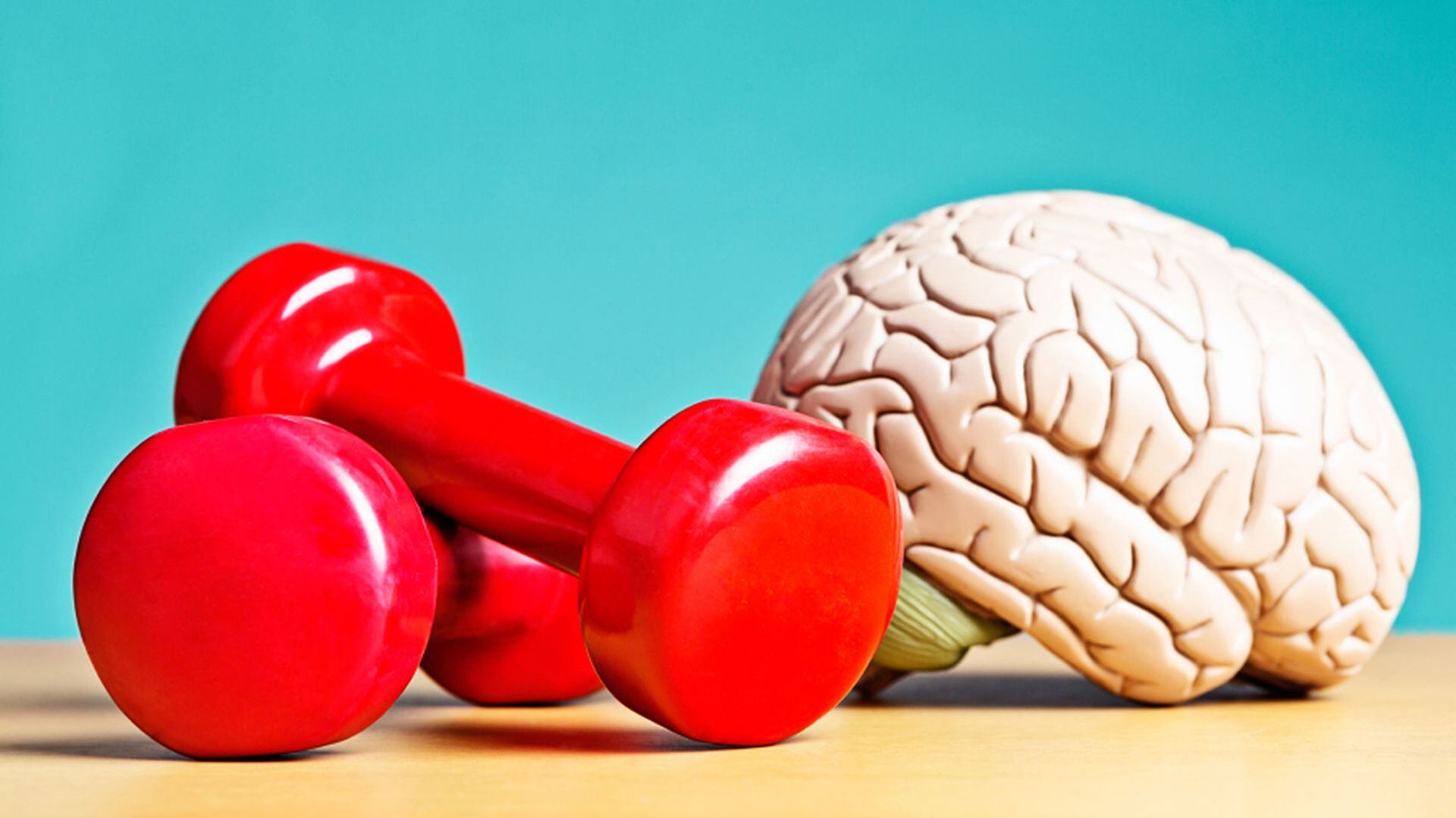 El ejercicio físico previene enfermedades neurodegenerativas como el Alzheimer