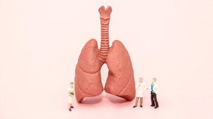 La enfermedad pulmonar es la tercera causa de muerte a nivel mundial, y el trasplante es la única cura definitiva para los pacientes que se encuentran en la etapa final de la enfermedad (Shutterstock)