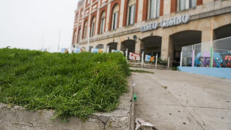 El pasto crecido en la mayoría de los espacios verdes de la ciudad balnearia