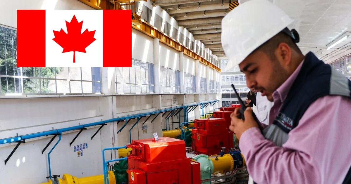Canadian company offers job to Mexicans with salary of 93,000 pesos
