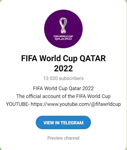Canales de Telegram sobre el Mundial de Qatar 2022. (foto: Telegram)