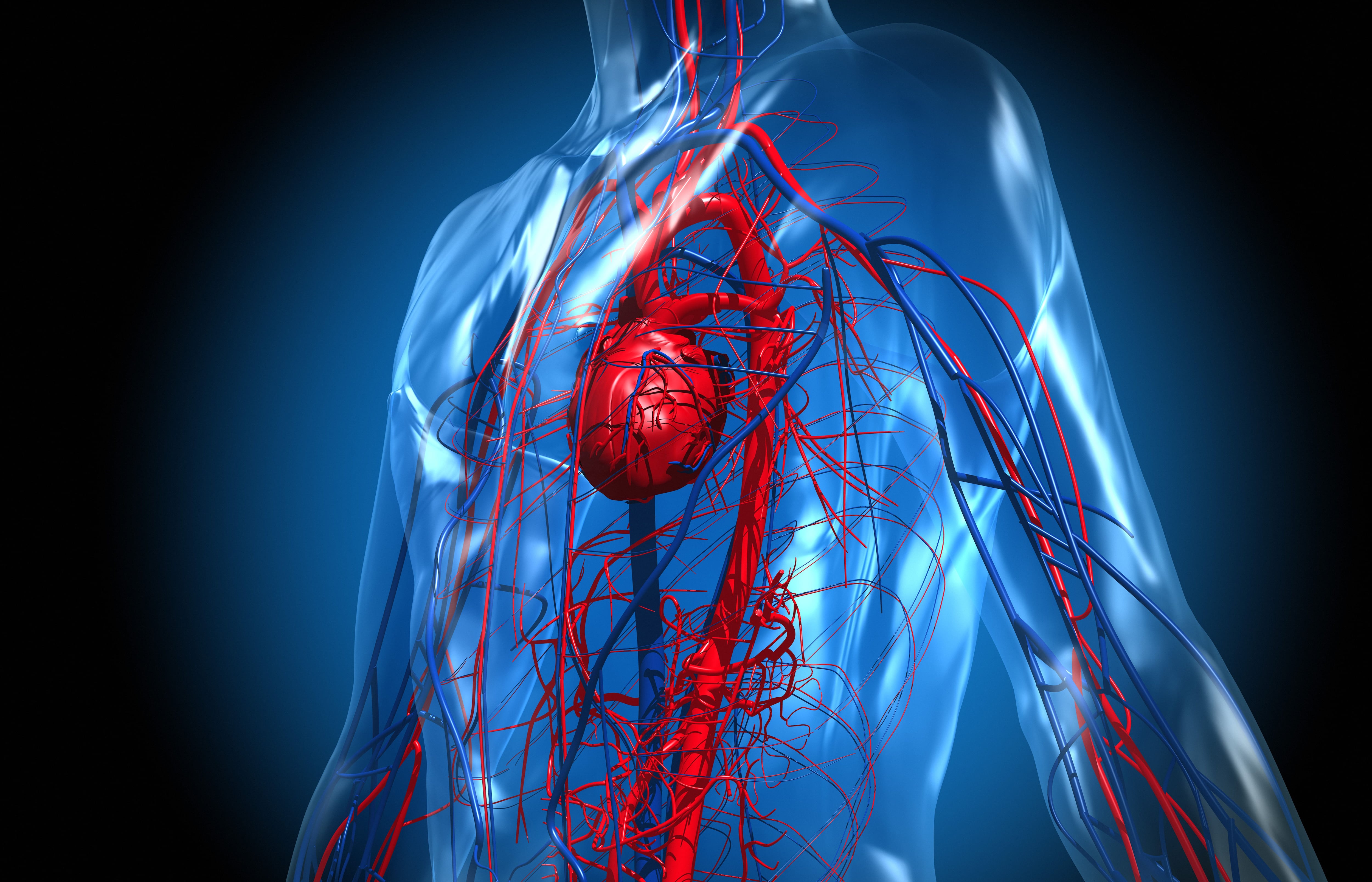  El colesterol alto se asocia con enfermedades cardiovasculares, la principal causa de muerte global  (Getty)