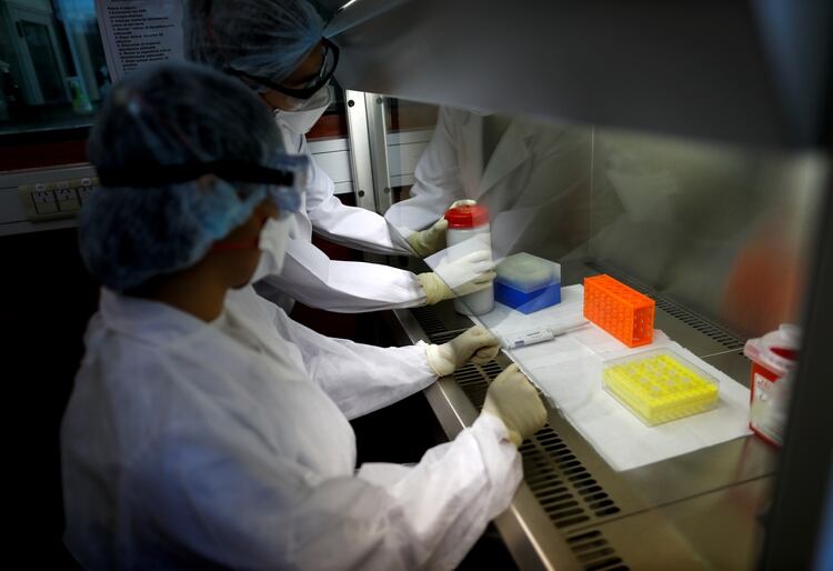 Laboratory technicians work with samples during a coronavirus analysis simulation at the Malbran institute in Buenos Aires, Argentina February 29, 2020. Picture taken February 29, 2020. REUTERS/Agustin Marcarian