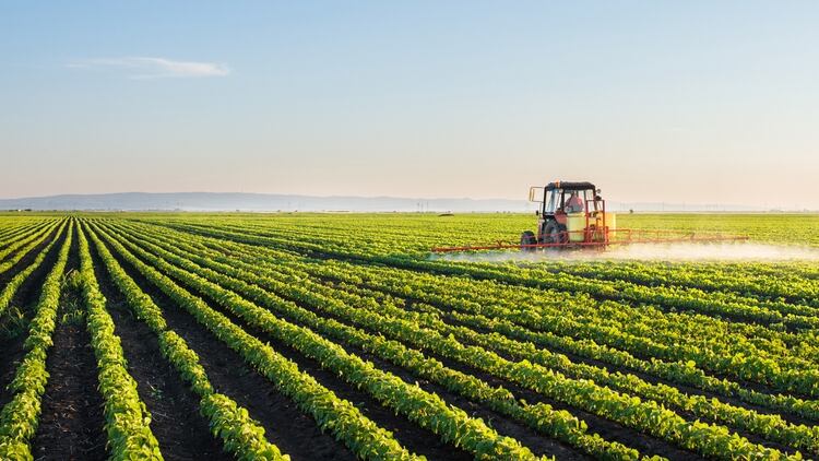 Este año, las ventas de maquinaria agrícola cayeron abruptamente.