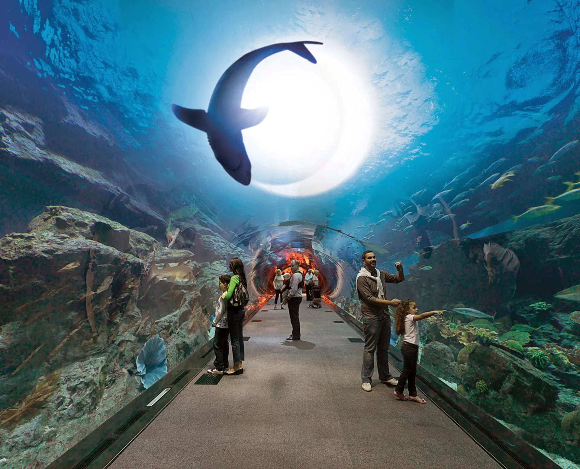 Su túnel panorámico ofrece un increíble vista del mar en su interior y se encuentra en la parte inferior de uno de los shoppings más visitados en Dubai