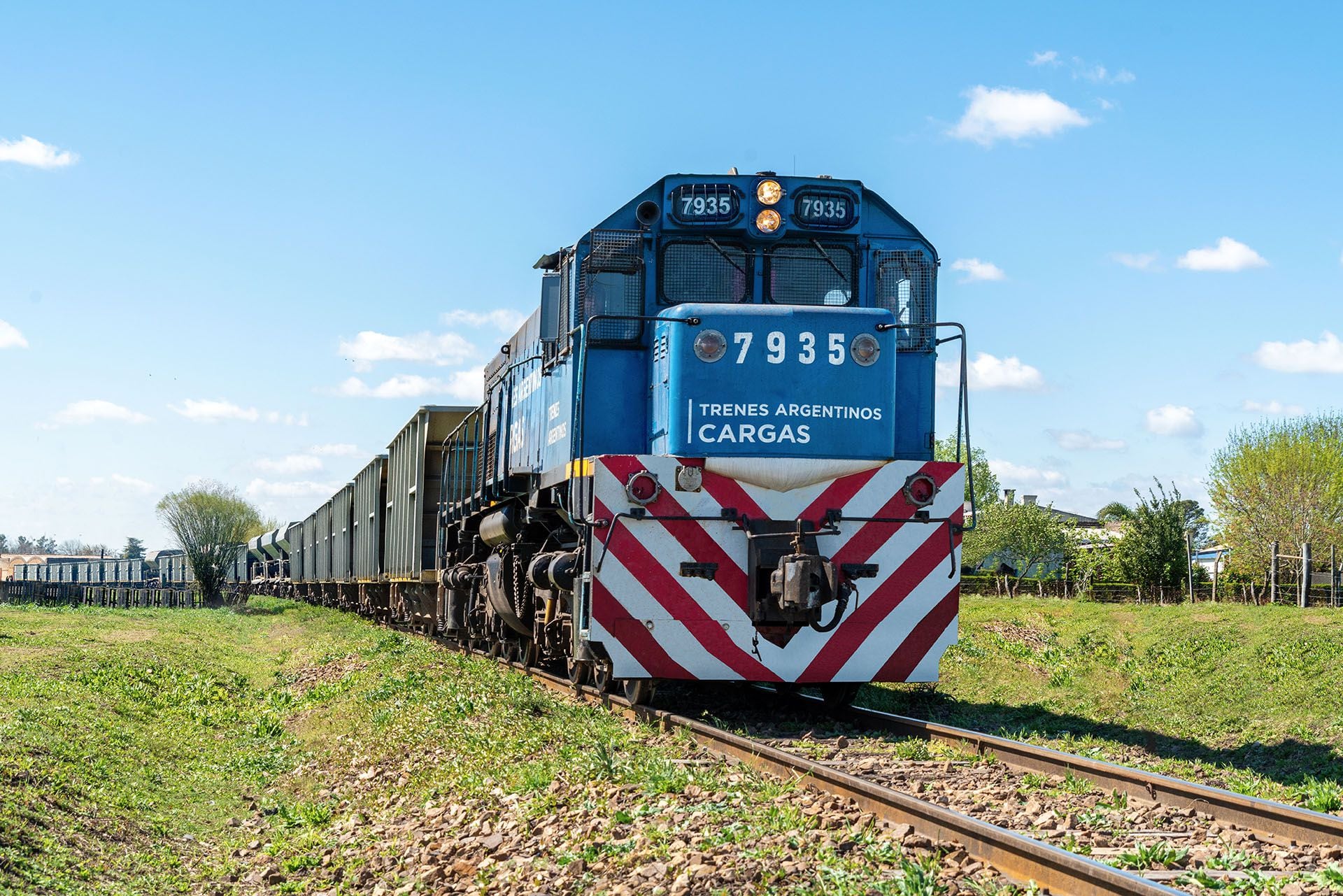 Trenes Argentinos Cargas