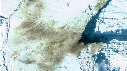 El descubrimiento se realizó al detectar las distintivas manchas de guano marrón rojizo que los pingüinos dejan en el hielo a través de imágenes de satélite (British Antarctic Survey)