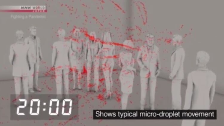 El modelo del experimento japonés donde las 