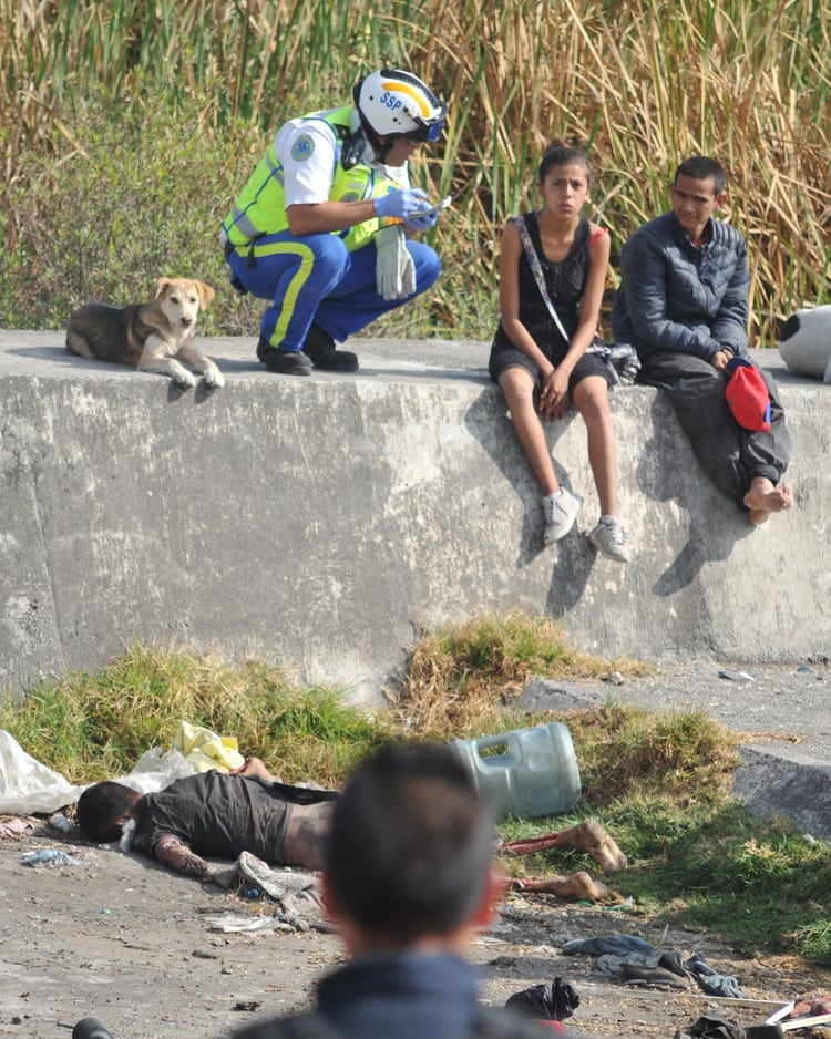 Hay entre 25 a 30 perros que luego atacan a los vecinos, niños y personas sin hogar (FOTO: ARMANDO MONROY /CUARTOSCURO)