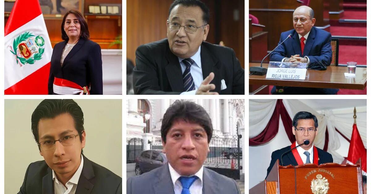 The six lawyers who stand for the election of the new mediator