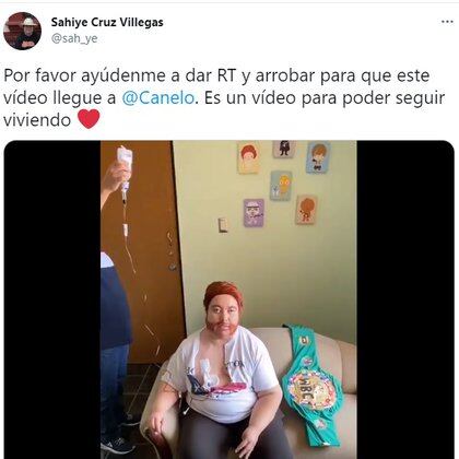 Por medio de Twitter, la joven pidió ayuda para que su video llegara al boxeador mexicano (Foto: captura de pantalla Twitter/@sah_ye)