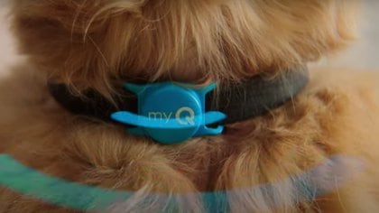 myQ Pet Portal integra un sensor con bluetooth para el collar de la mascota