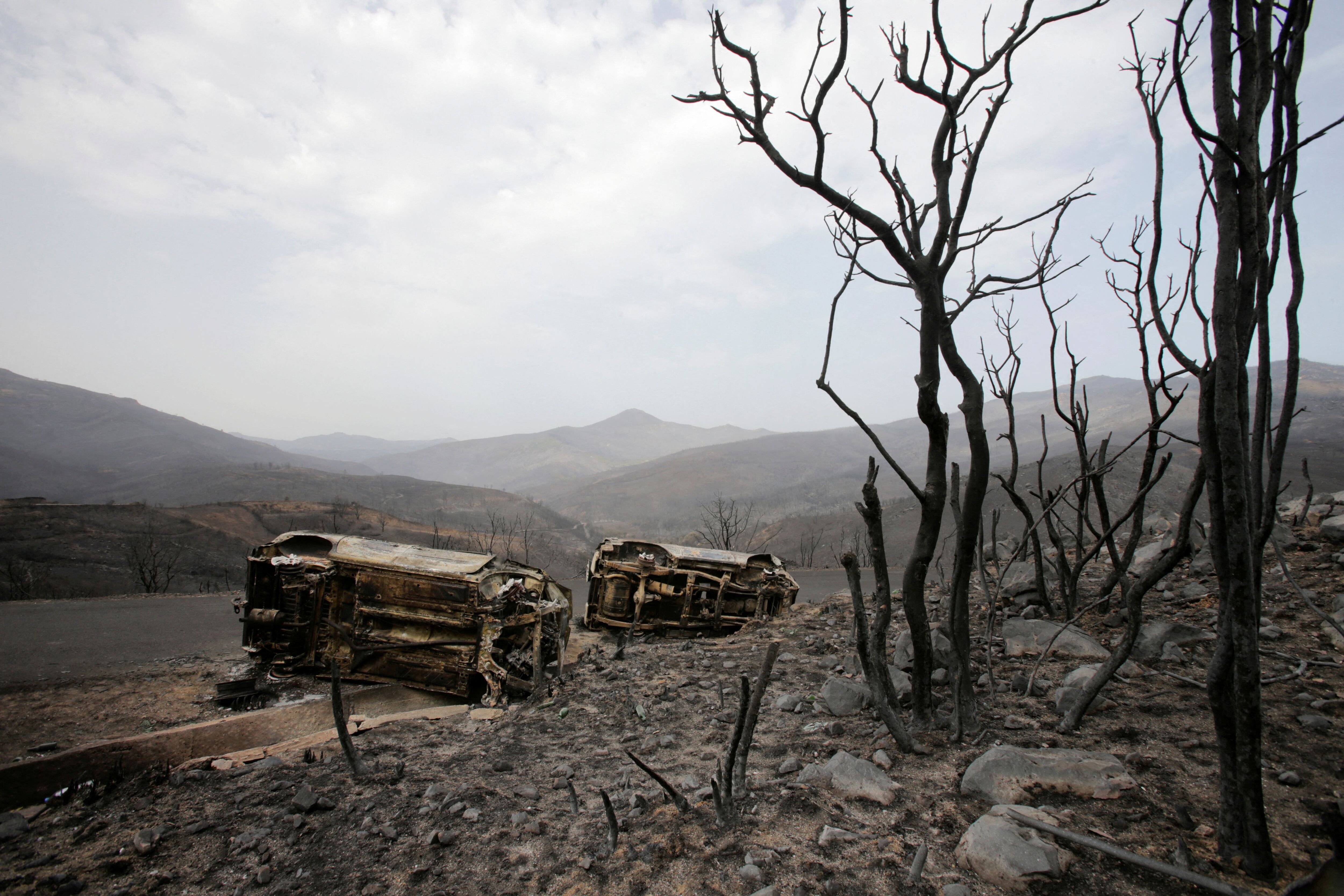 Árboles y vehículos carbonizados en Bejala. (REUTERS/Ramzi Boudina)