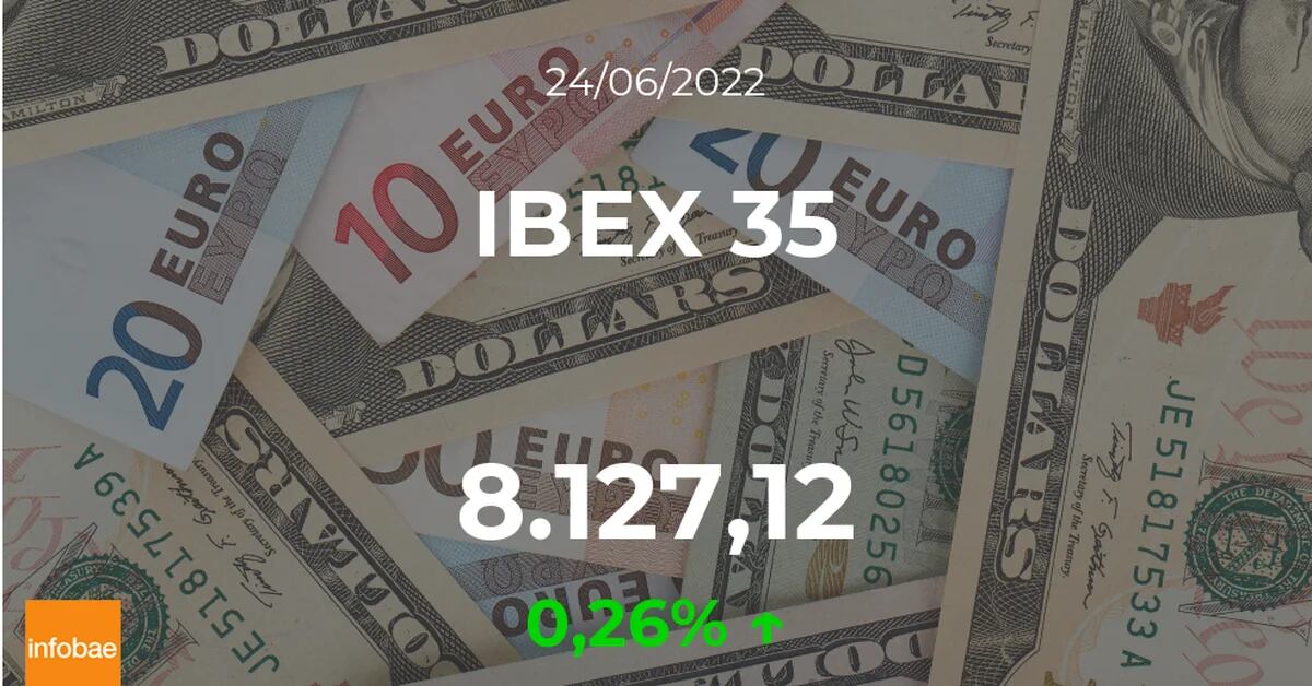 The IBEX 35 opens with a rise of 0.26% on June 24