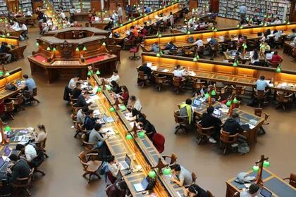 Estudiantes trabajan en una biblioteca (Pexels)