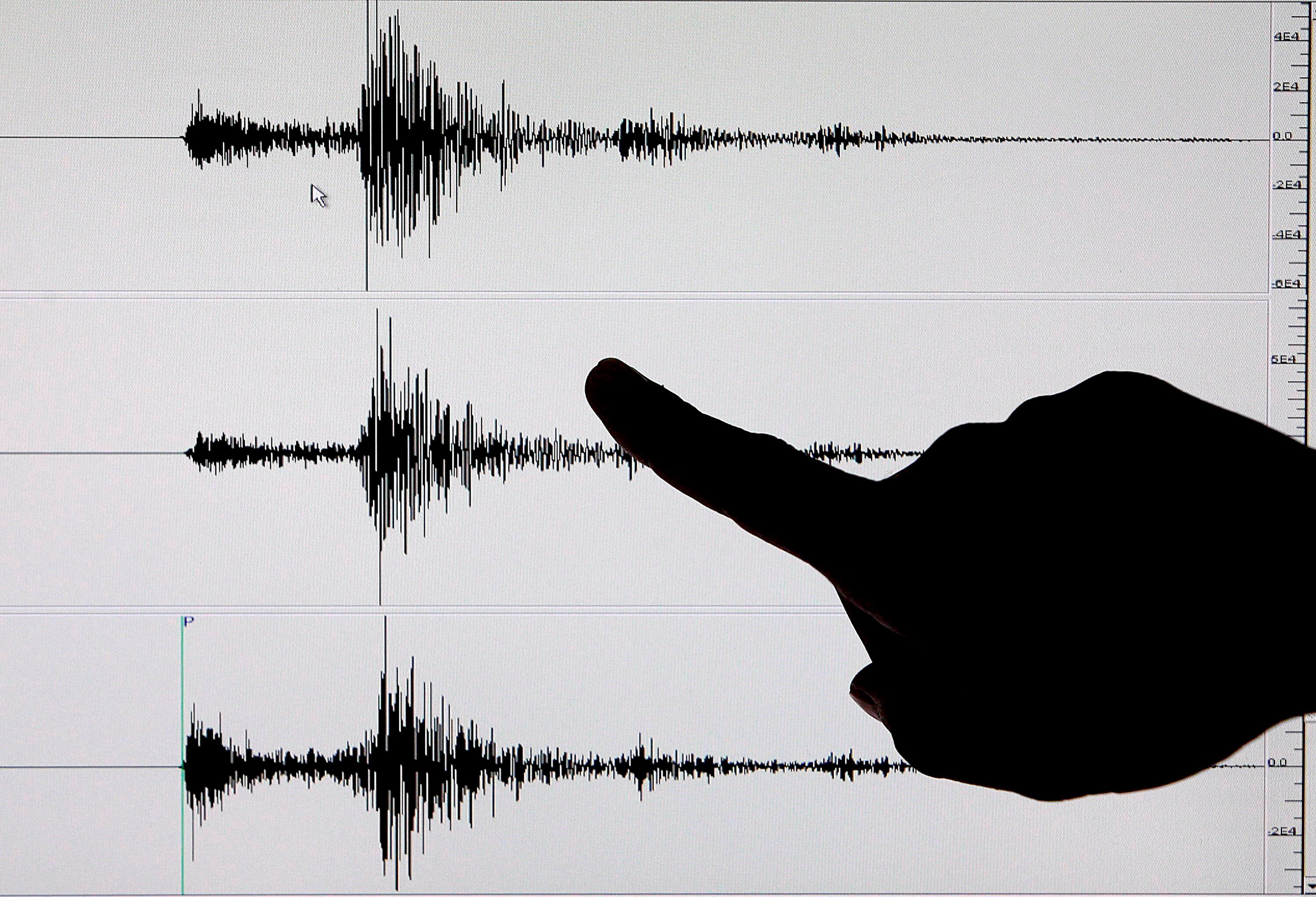 El temblor se registró a las 07.53 hora local (12.53 GMT) y el epicentro se localizó 35 kilómetros al oeste del distrito de Huaral, ubicado unos 75 kilómetros al norte de la capital peruana. En la imagen un registro de archivo de la pantalla de un sismógrafo. EFE/Alanah M. Torralba