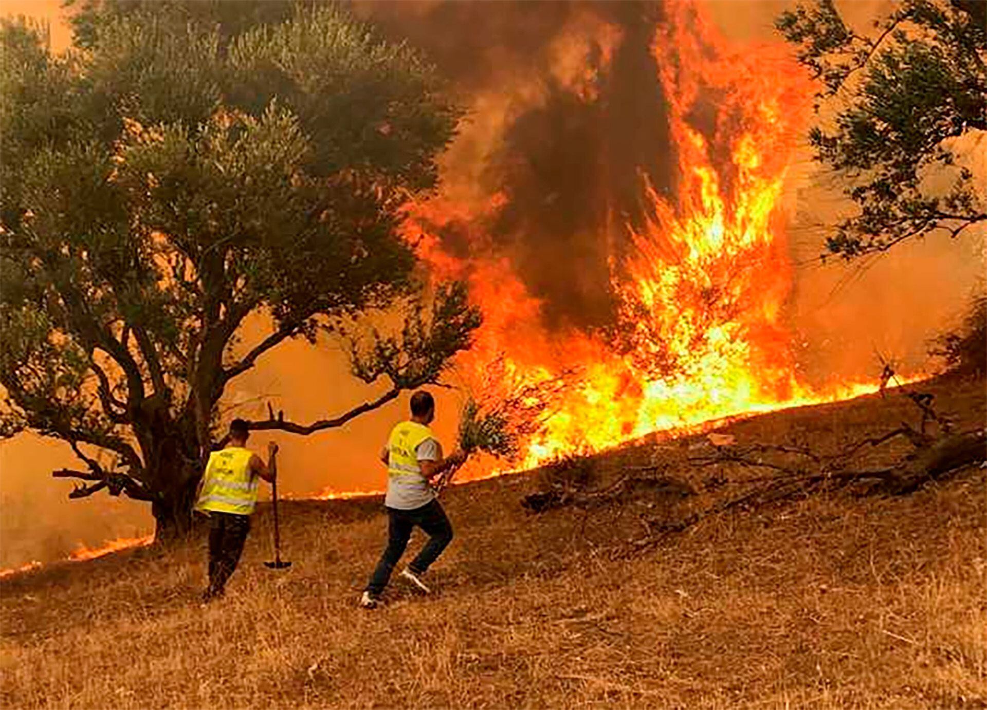 Fuertes incendios asolan a Argelia 