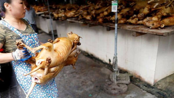 Pese a las prohibiciones, Yulin abrió nuevamente la celebración (Reuters)