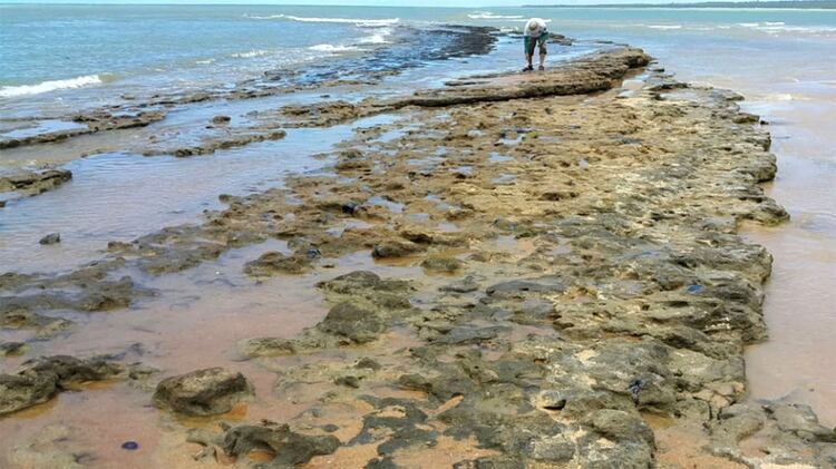 El presidente de Brasil, Jair Bolsonaro, dijo que las misteriosas manchas de petróleo que aparecieron en 132 playas en el noreste de Brasil tienen su origen en otro país, sin mencionar cuál (AFP)