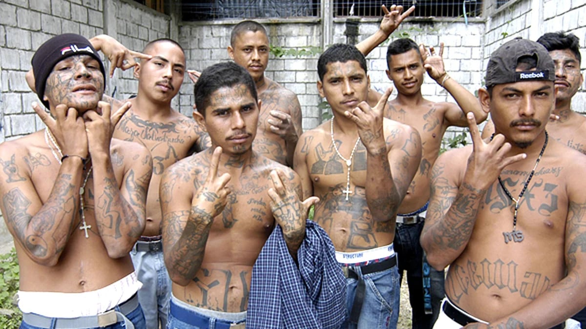 Las bandas criminales son el elemento característico de la violencia en América Latina. En la imagen miembros de una mara salvatrucha